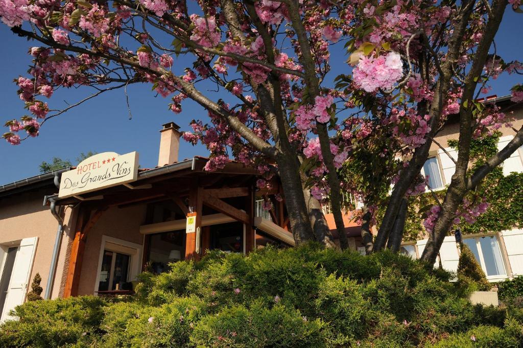 Logis Hotel Des Grands Vins Fleurie Exterior photo